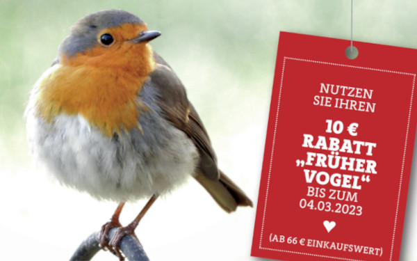 Früher Vogel Neue Kollektionen