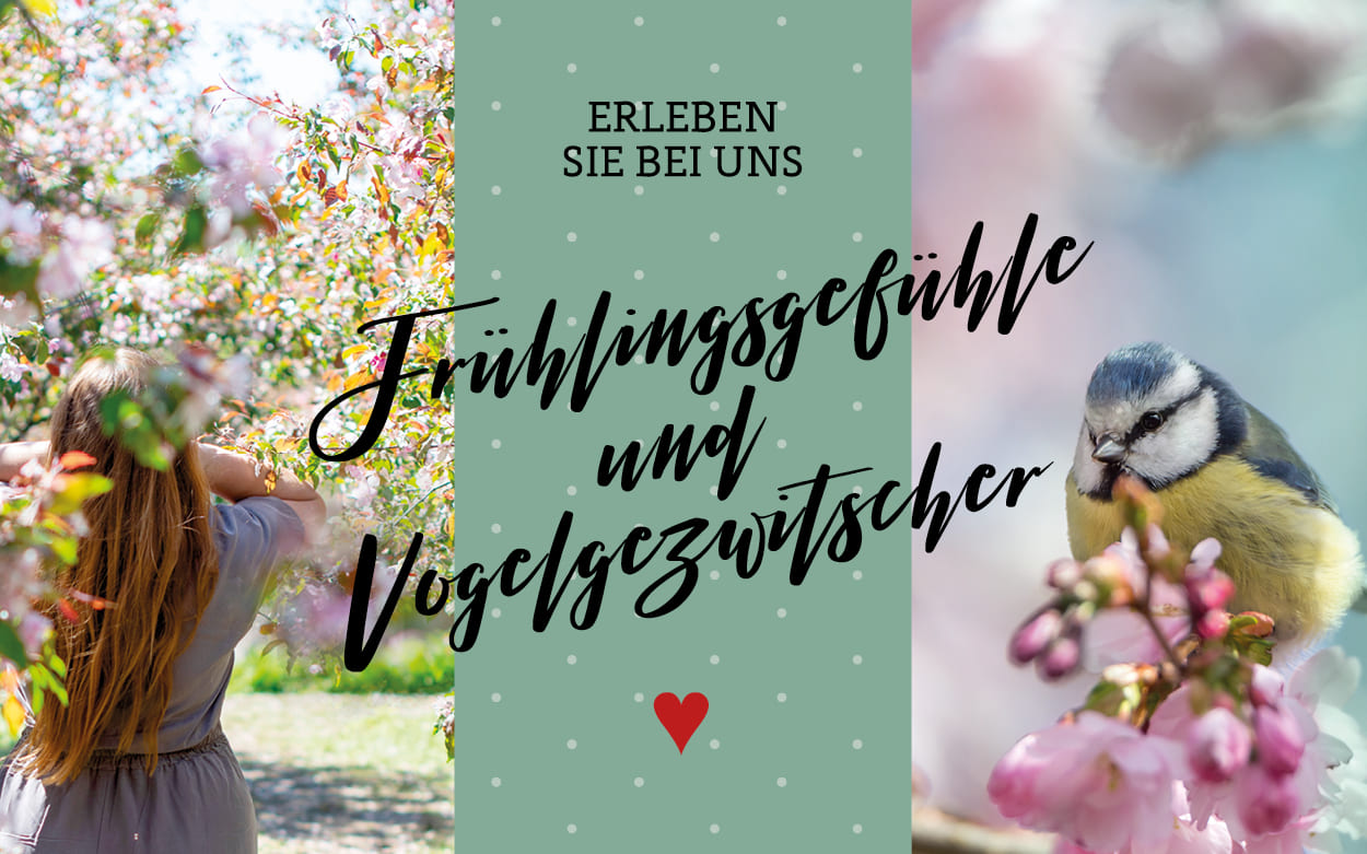 Frühlingsgefühle & Vogelgezwitscher