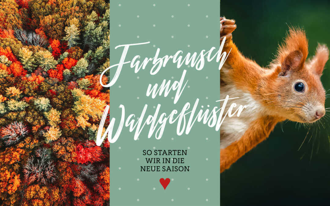 Farbrausch & Waldgeflüster