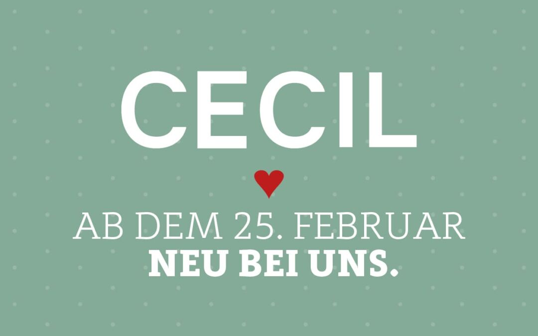 Cecil – Neu bei Z.Müller