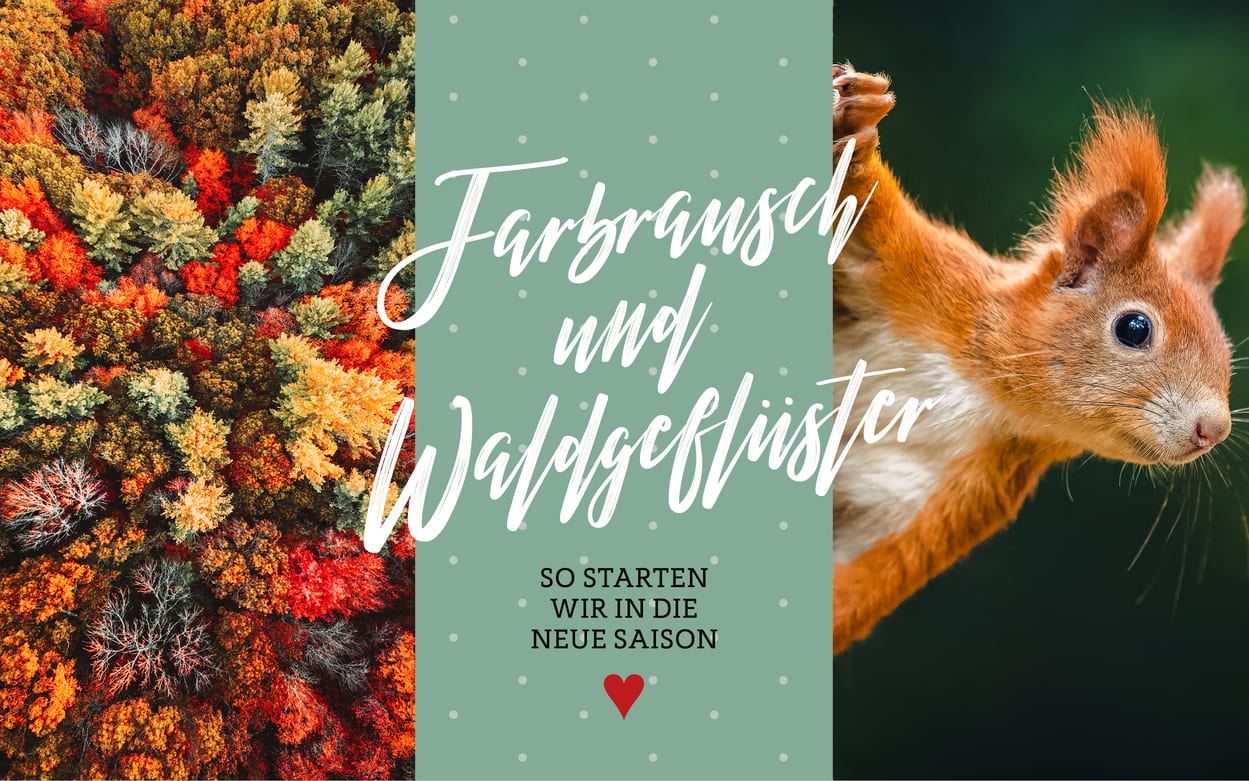 SSV Sommer Räumung